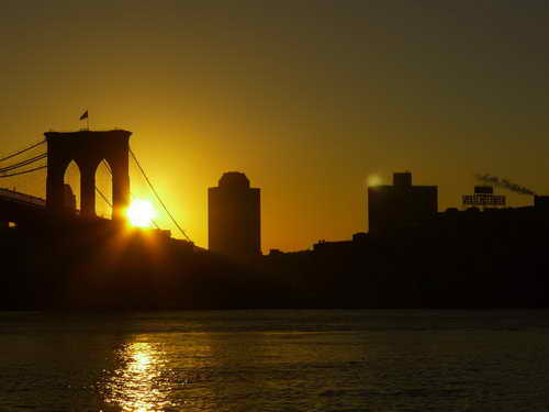NYC_2012-11-23 07-25-09_P1070646